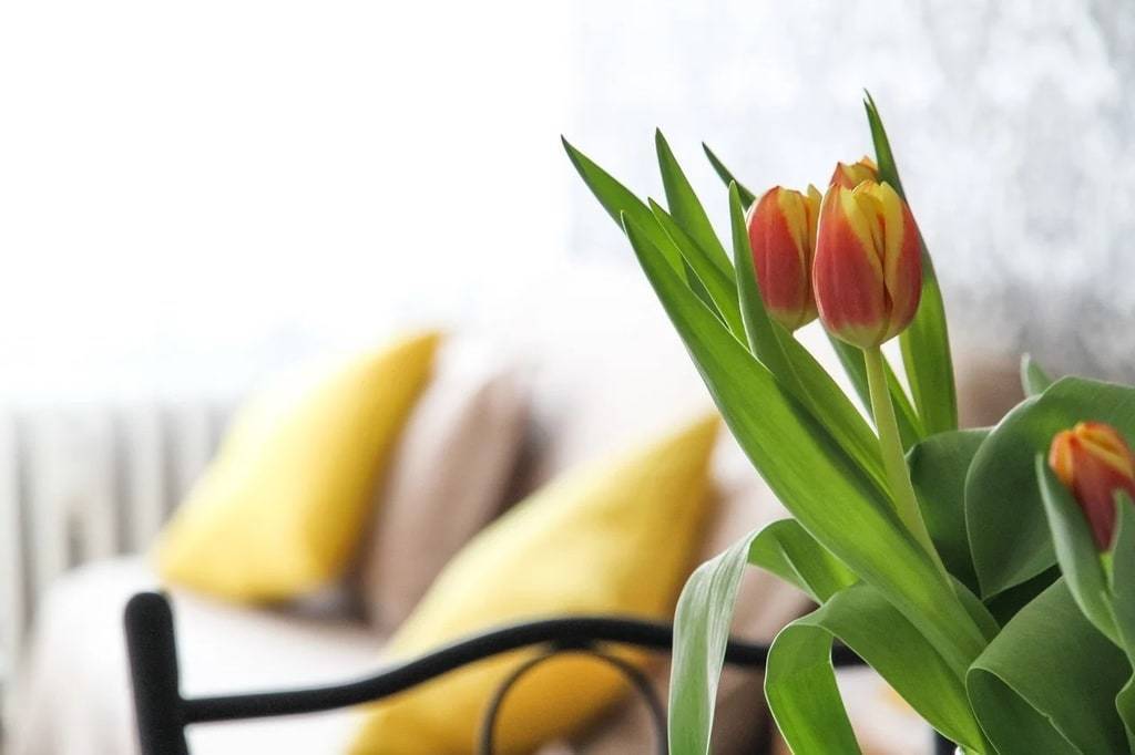 Les multiples facettes du macramé dans la décoration d'intérieur